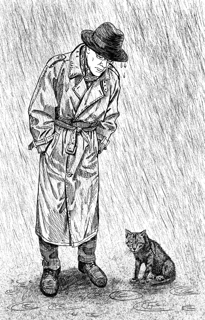 Иллюстрация к книге "Кошкин город. Бродячие истории". Автор Надея Ясминска. Издательство Аквиления-М