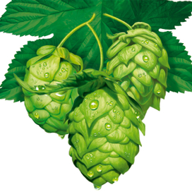 Водочная этикетка