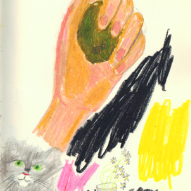 рука и котик