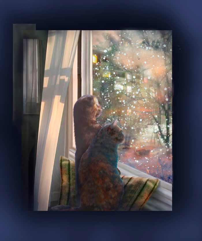 Зима,вечер,кошки и окошки.