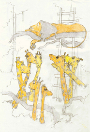 жирафы и лев