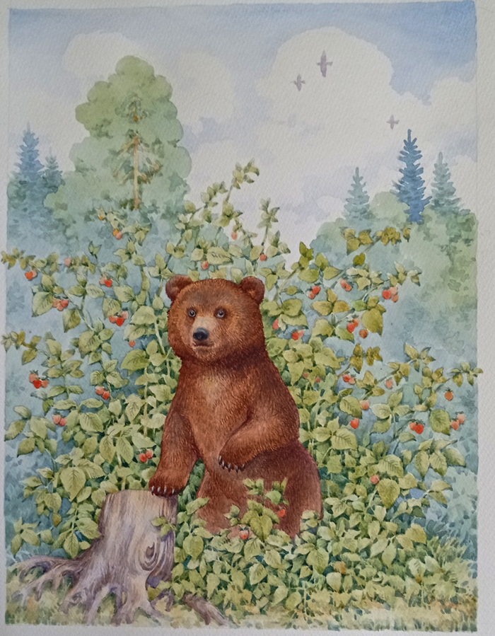 Медвежонок. 