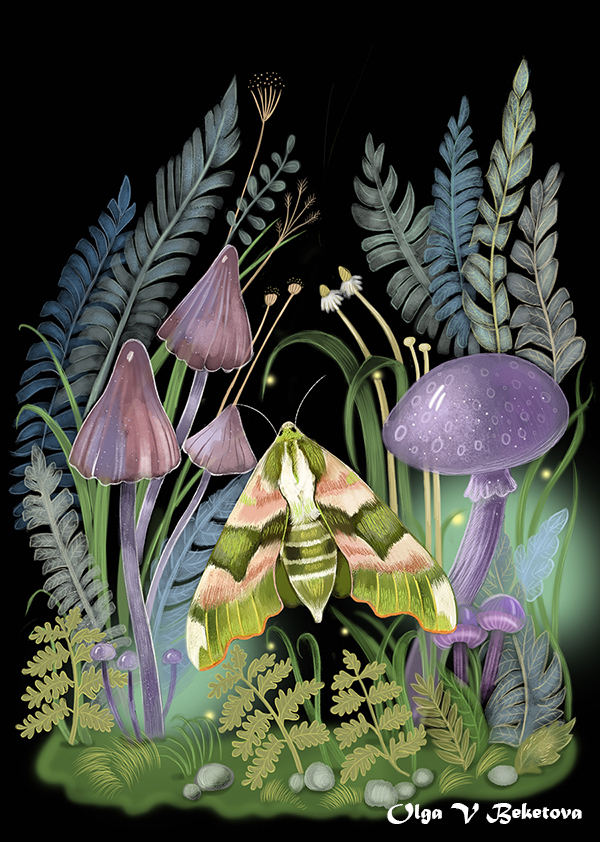 Моль в темном лесу и светлячки