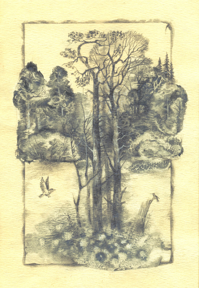 фронтиспис