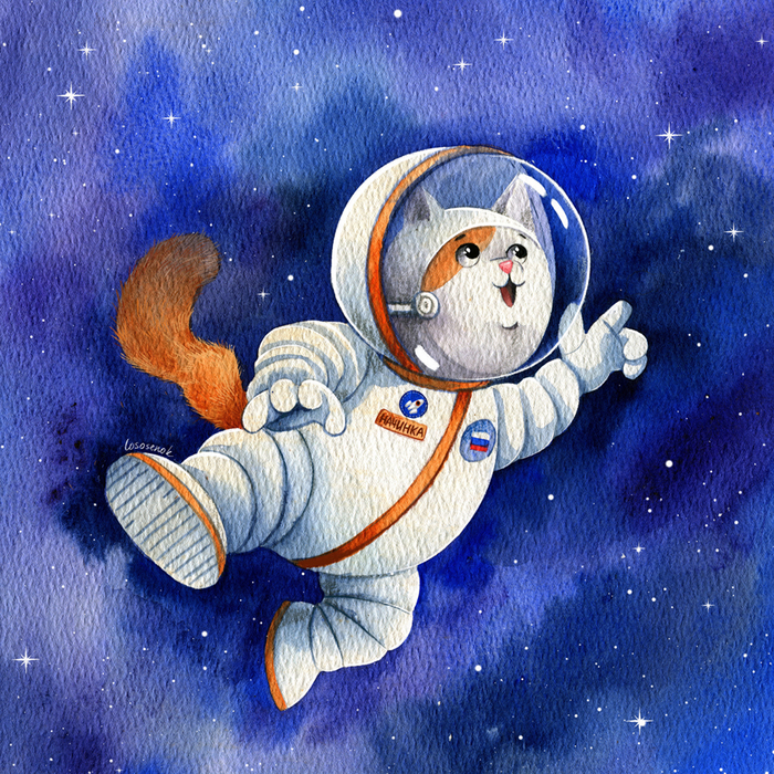 Космонавт Начинка