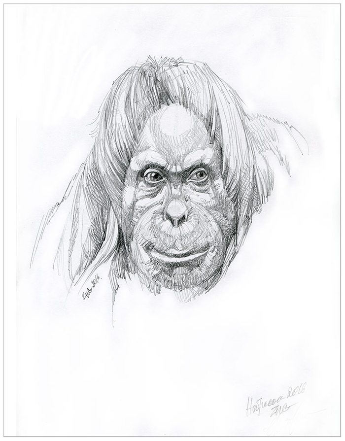  мудрый -{мысли}