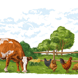 Фермерский двор