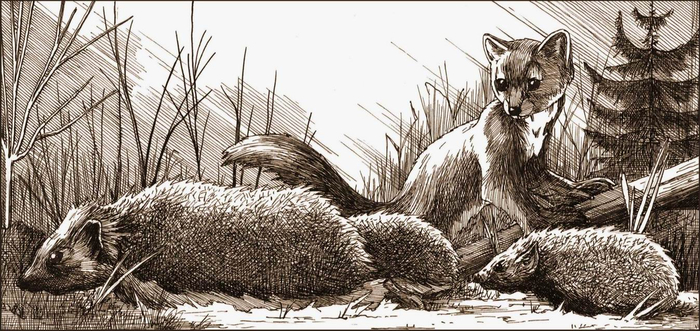 Детство Махи