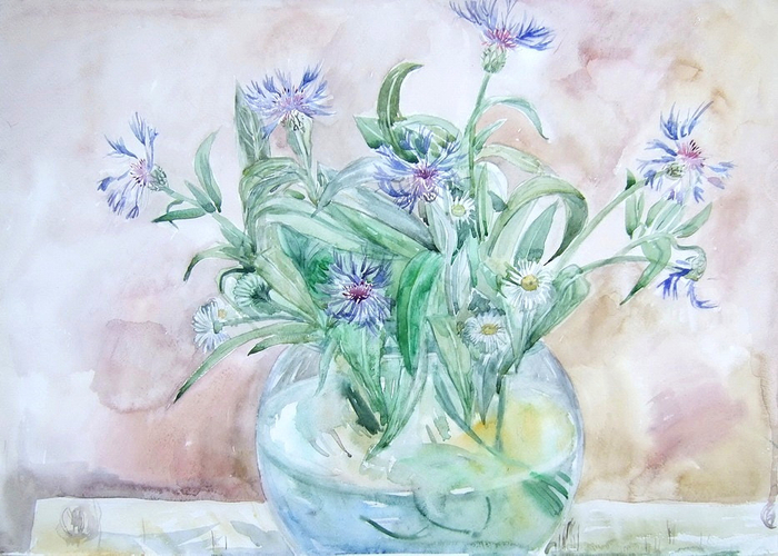 Горный василёк