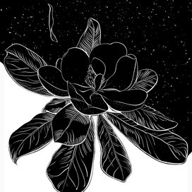 Ночная магнолия