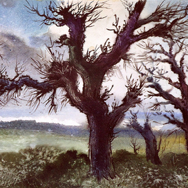 ,,ДикОвинные деревА,,