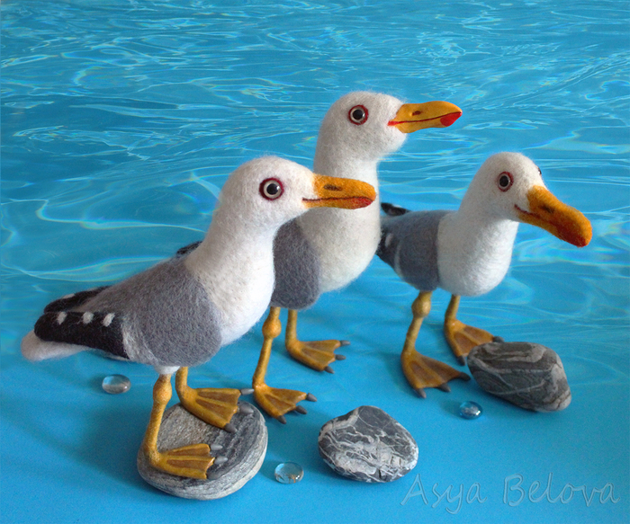 Байкальские  чайки