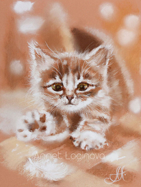 Славный мур 