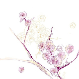 ЦВЕТУЩЕЕ АБРИКОСОВОЕ ДЕРЕВО