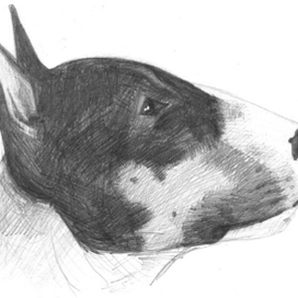 Набросок карандашом