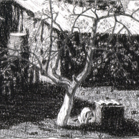 Собачья весна. "Город-остров"