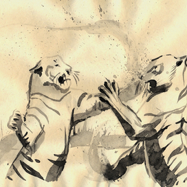 Экспрессия