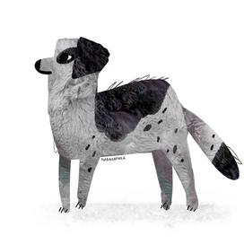 дворняжка 1