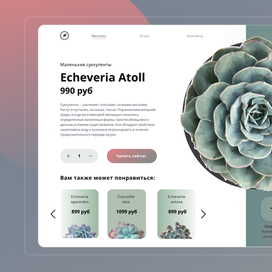 Concept succulents. Landing page 