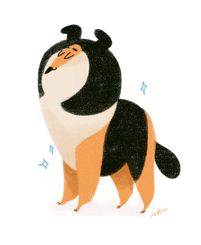 Сухой колли