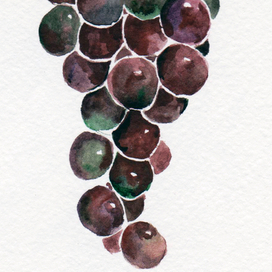 Grapes