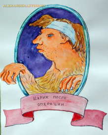 Собачье сердце, Шарик после операции