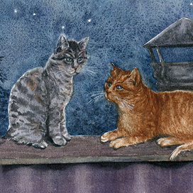 Коты на крыше