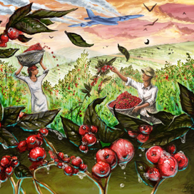 Кофейные плантации