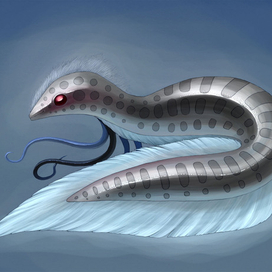 Зеркальный мир