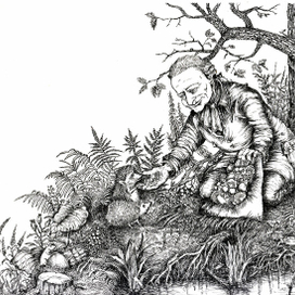 Кант в лесу