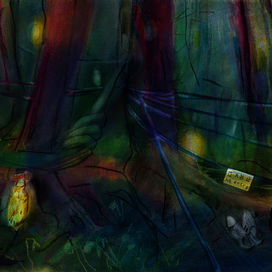 Лес самоубийц Аохигахара