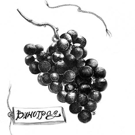Виноградная гроздь