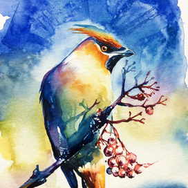 Свиристель