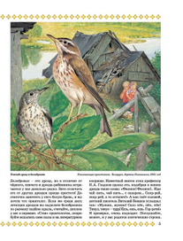 Дрозды: певчий и белобровик