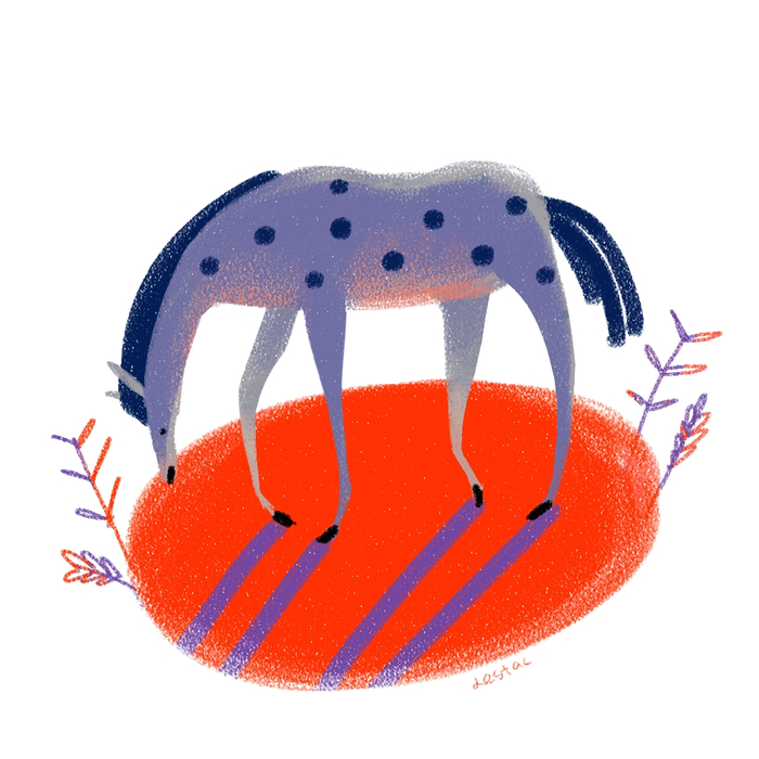 Закат и тени