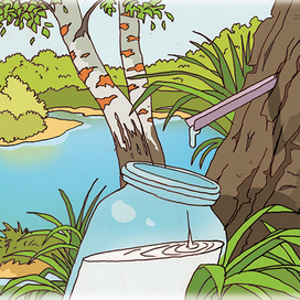 Вкус детства Д. В. Тумашов