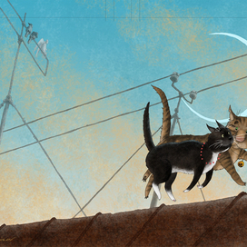 картинка на обложку