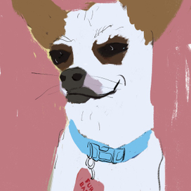 Моя собачка. Портрет