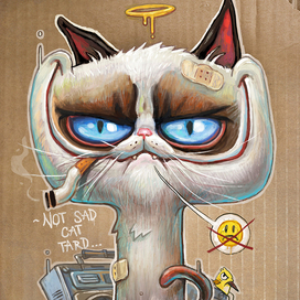 Не грустный кот