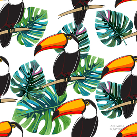 Паттерн с туканами