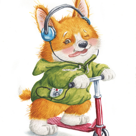 Корги на самокате