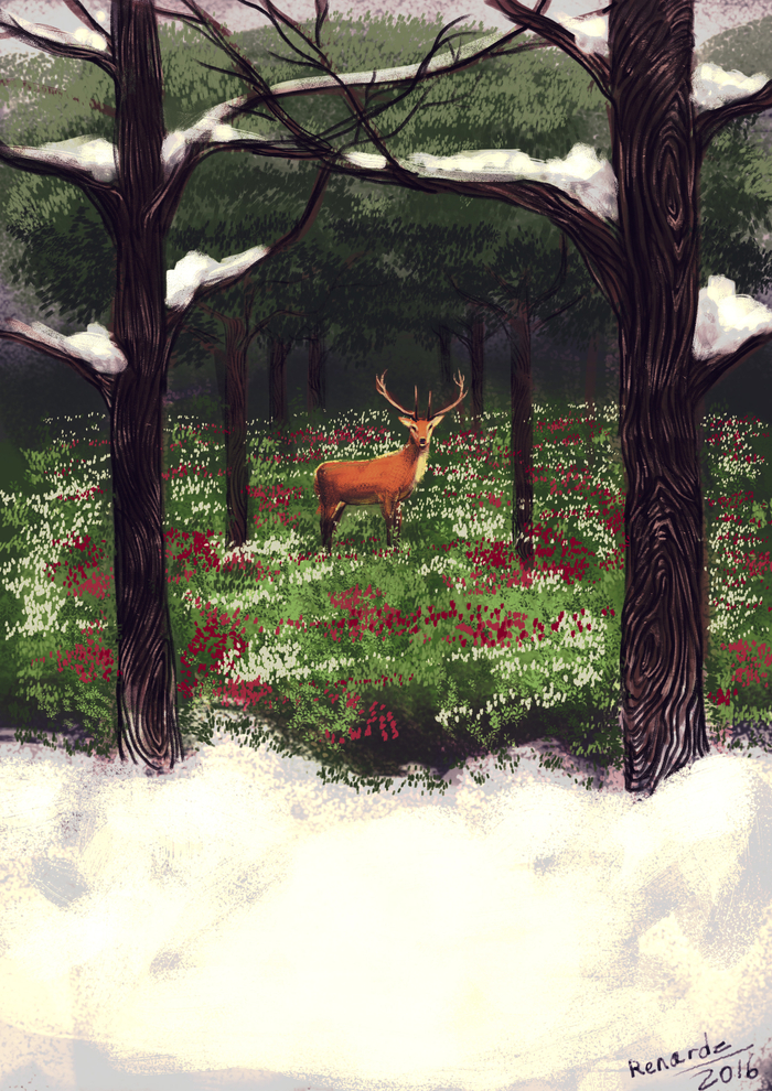 Вчера я видела оленя.