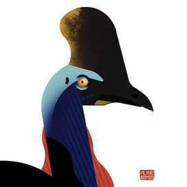 Cassowary