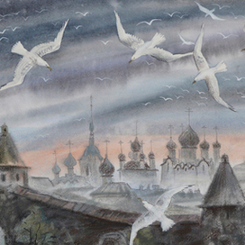 Белые чайки.Соловки