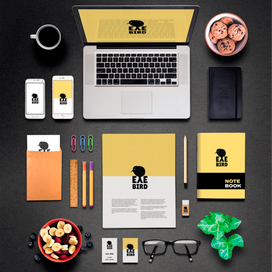 Brandbook Eye Bird