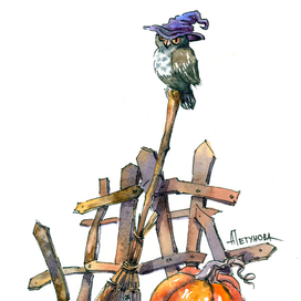 Ведьмин огород