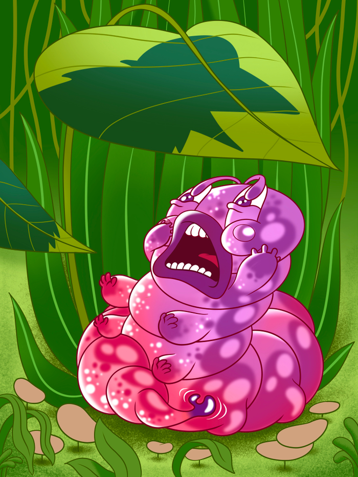 Розовая Гусеница