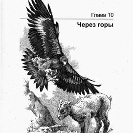 ГРИЗЛИ. Через горы