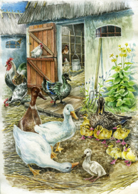 Гадкий утенок