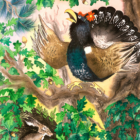 Русачок восхищен глухарем